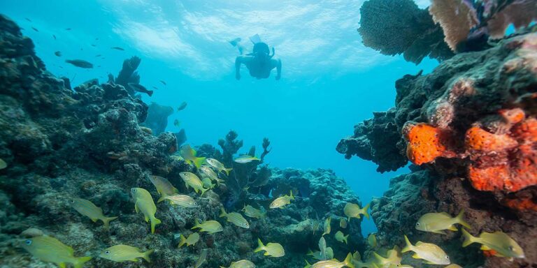 Key West Watersports & Adventures