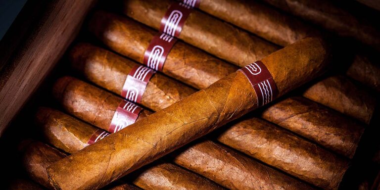 cuban cigars