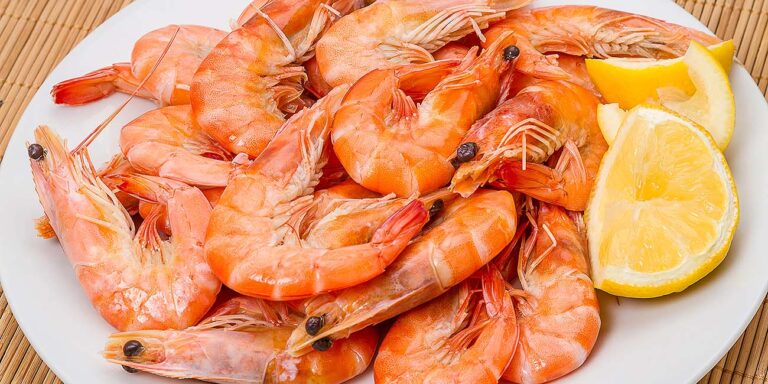 Seafood of Key West