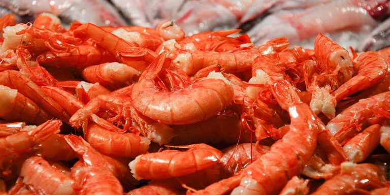shrimp market