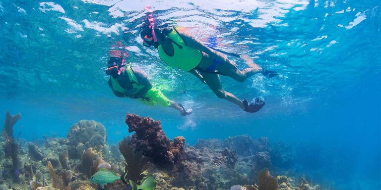 Coral Reef Snorkeling Tours