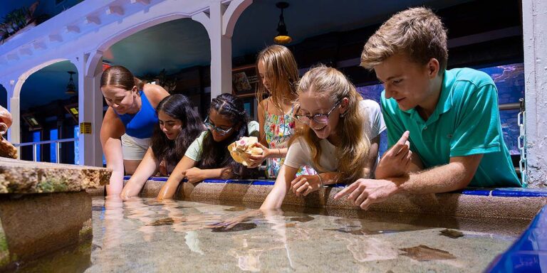 guide and kids at Key West Aquarium touch tank