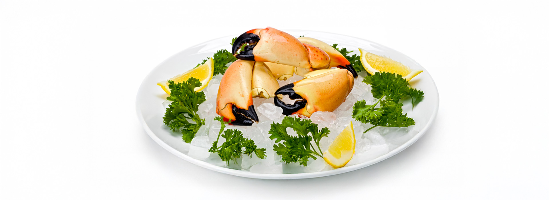 Stone Crab Claws key west